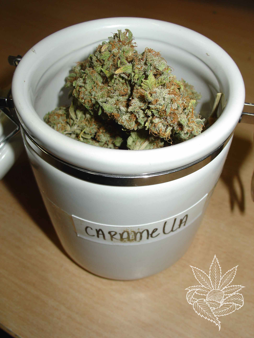Caramella 1.jpg