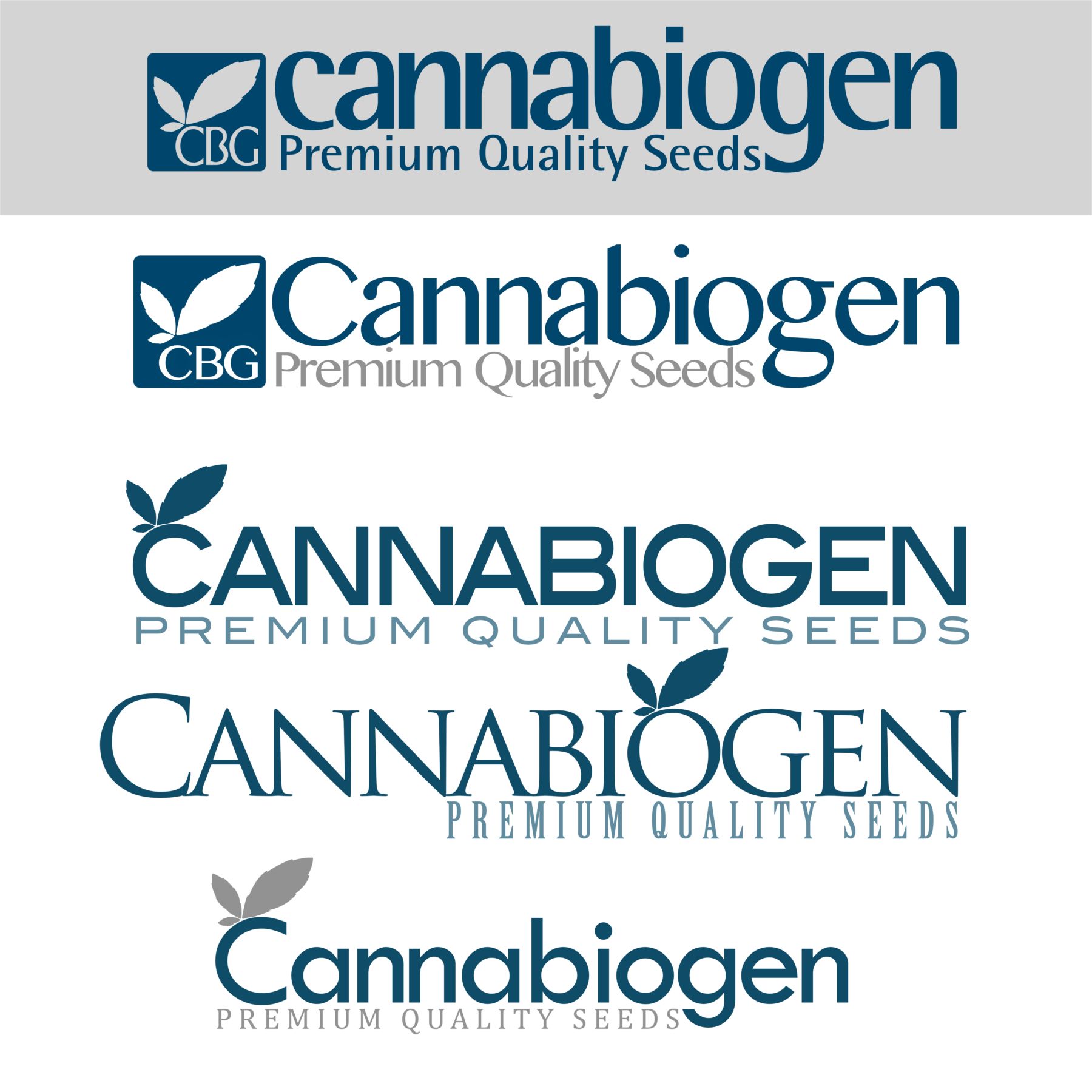 logos pequeño.jpg