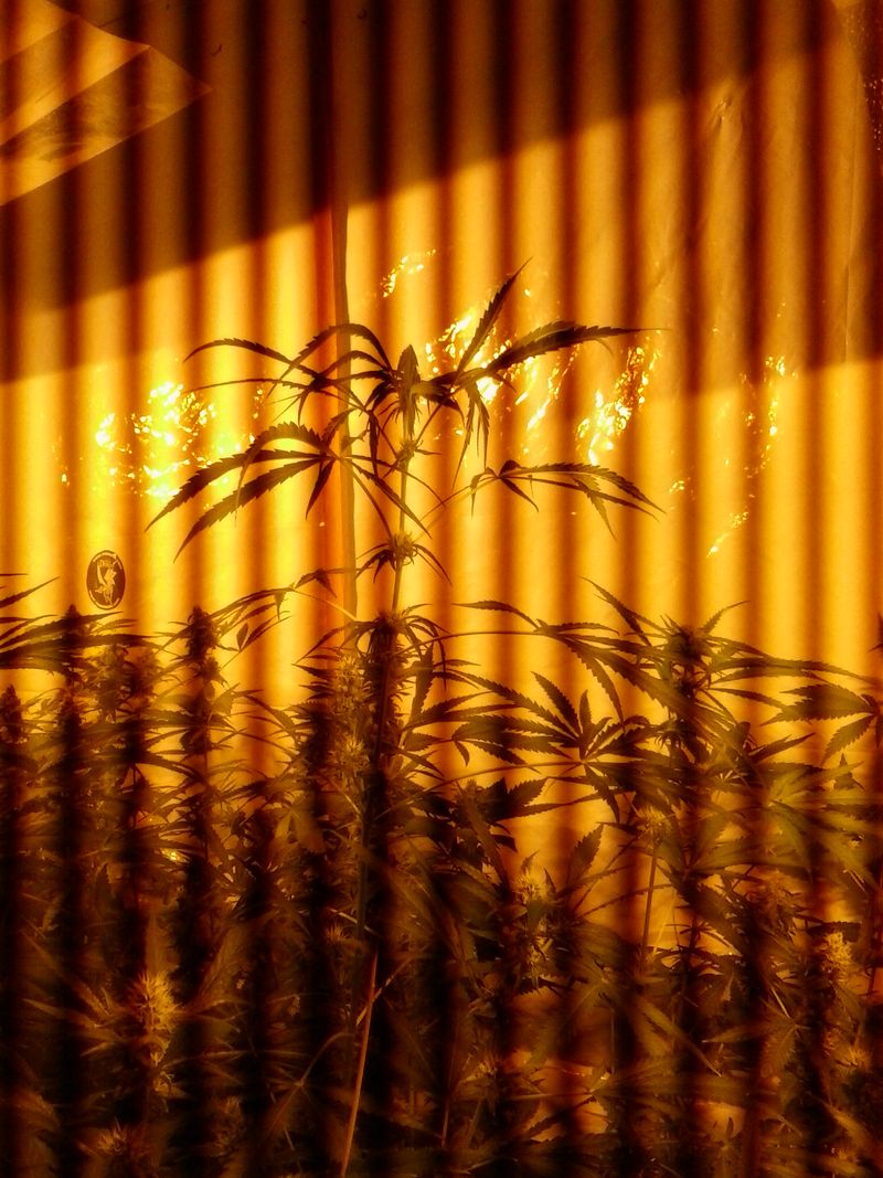 20140627_174359.jpg