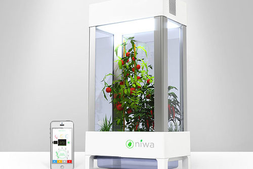 niwa-armoire-hydroponique-1.jpg