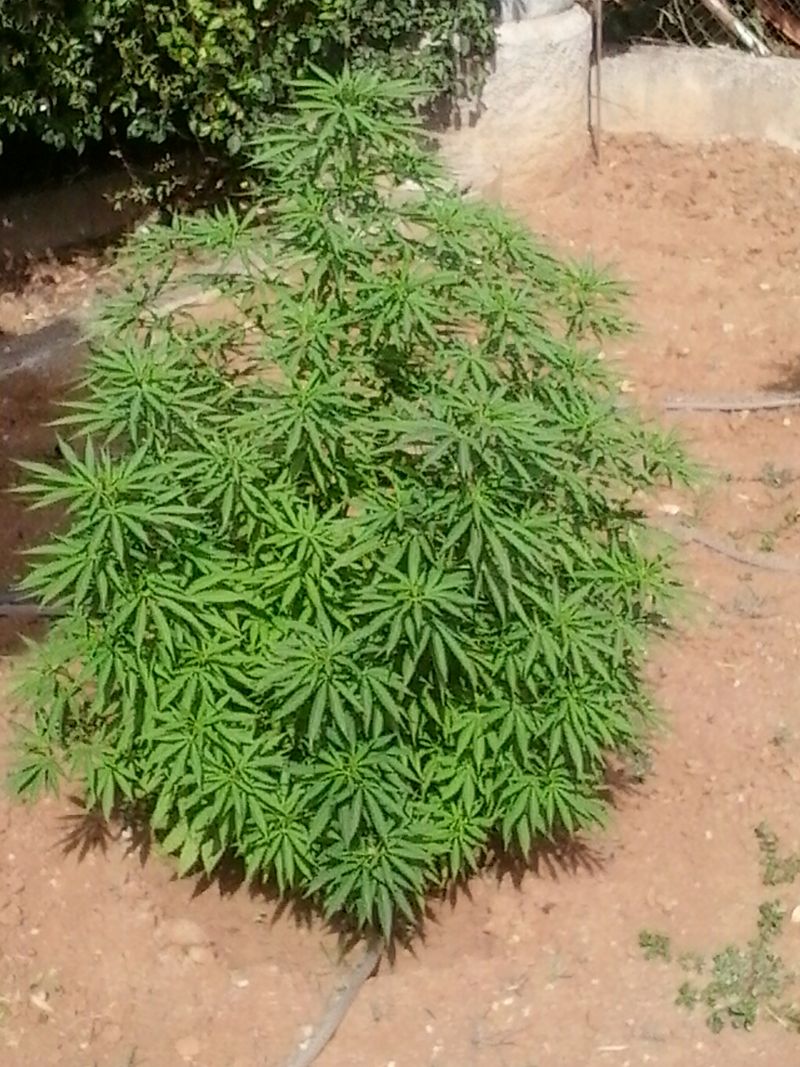 20140703_180036.jpg