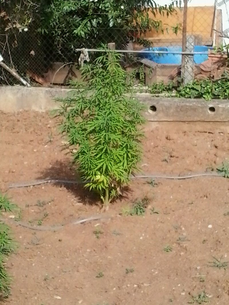 20140703_180038.jpg