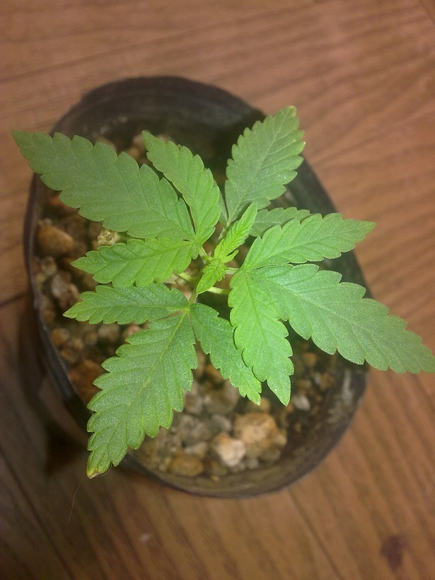 220220109045.jpg