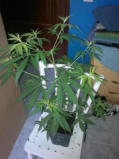 08062011049.jpg