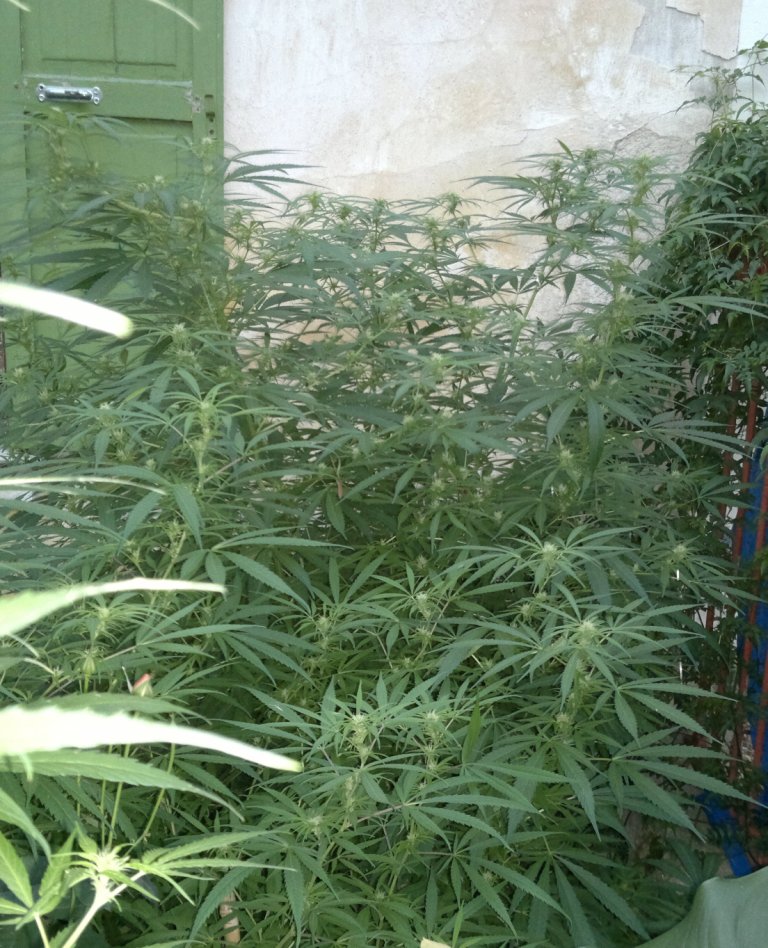 2014-10-09-5356.jpg