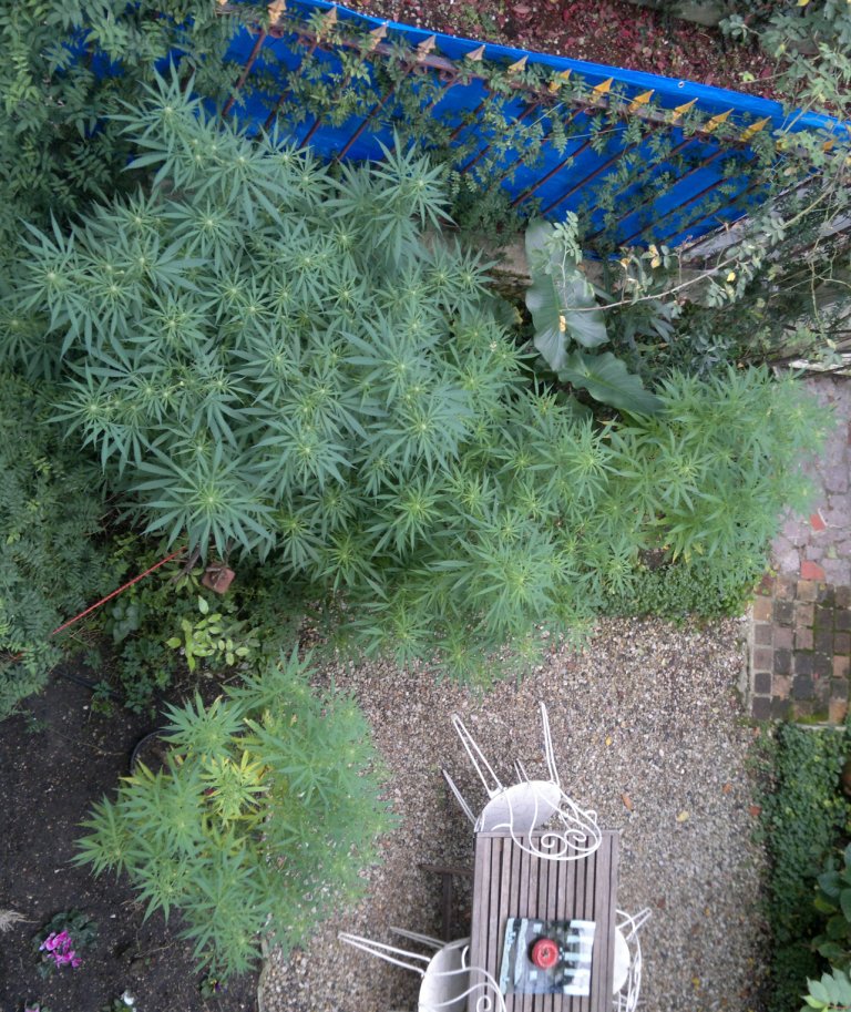 2014-10-09-5338.jpg