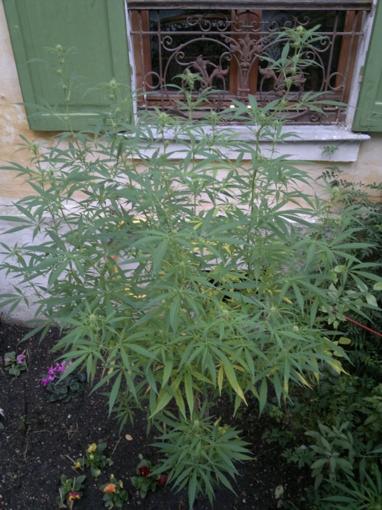 2014-10-09-5355.jpg