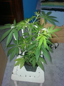 08062011053.jpg