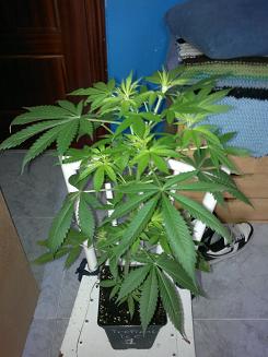 08062011055.jpg