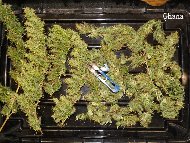 DSCF7554.JPG