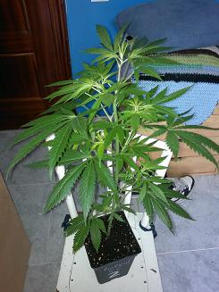 08062011058.jpg