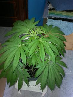 08062011065.jpg