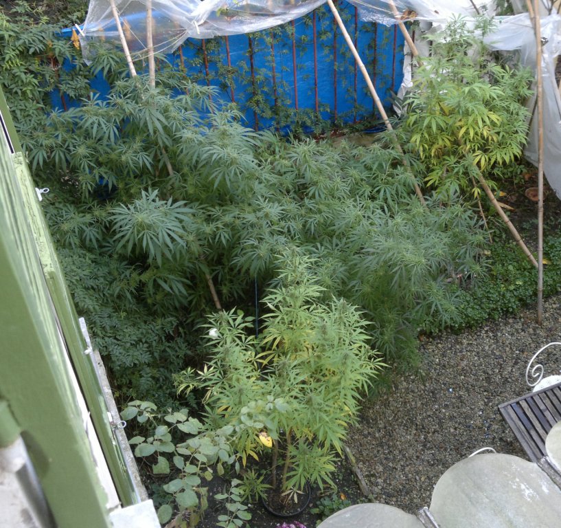 2014-11-15-5626.jpg