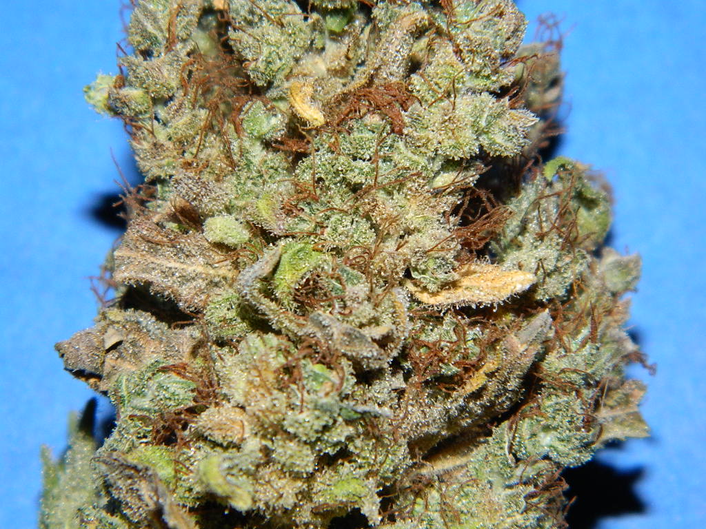 DSCN4335.JPG