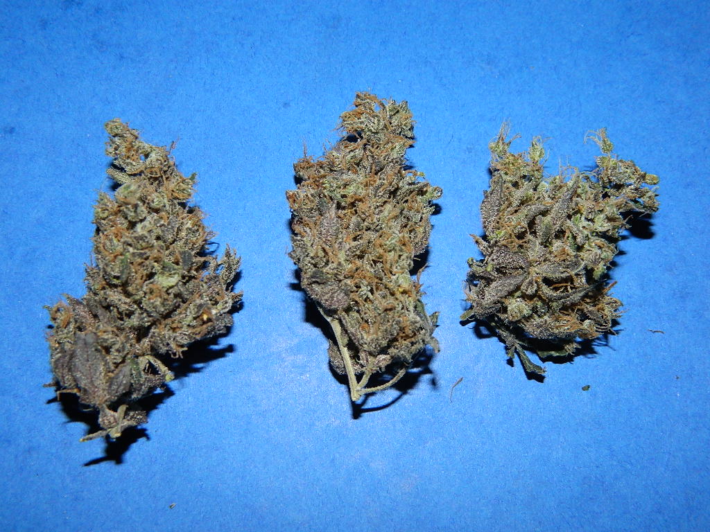 DSCN4327.JPG