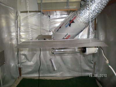 SANY0984.JPG