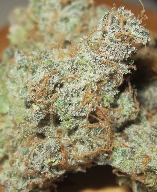 UltraGrapefruit-feb-5.jpg