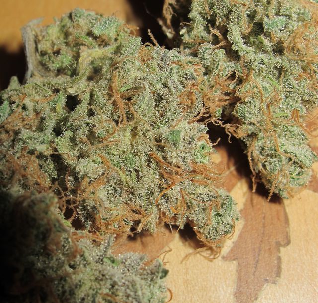 UltraGrapefruit-feb-6.jpg