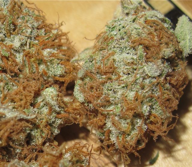 AK-Con-feb-1.jpg