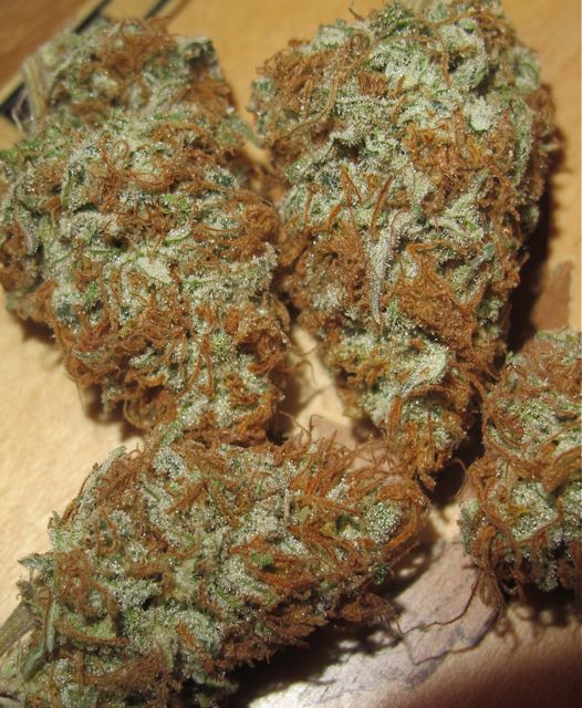 AK-Con-feb-2.jpg