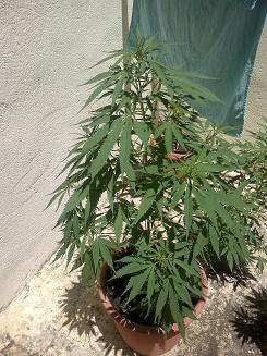 14062011071.jpg