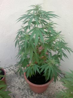 14062011078.jpg