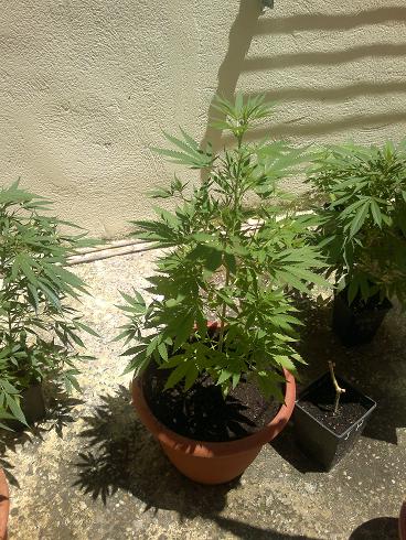 14062011072.jpg