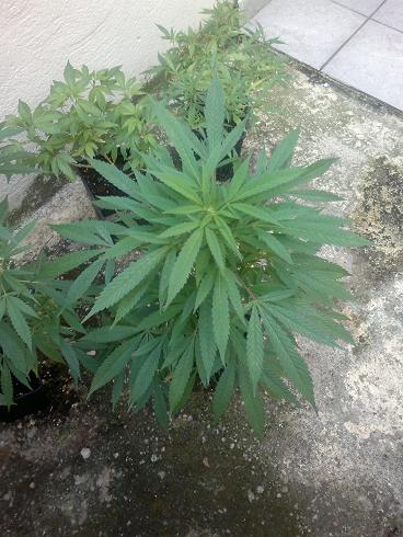 14062011080.jpg