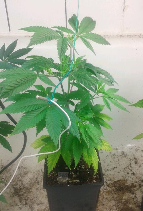 2015-06-18 21.13.11-1.jpg