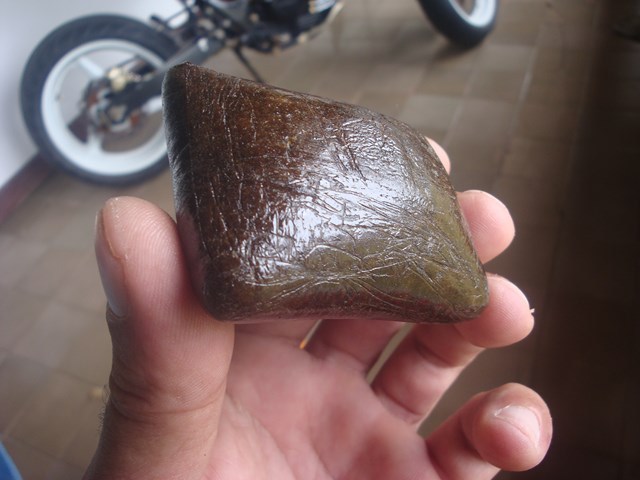 Hash buds SD x Afgh (1).jpg