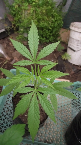 DSCF5191.JPG