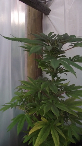 DSCF5378.JPG