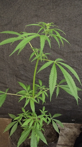 DSCF5491.JPG