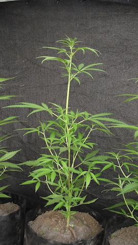 DSCF5507.JPG