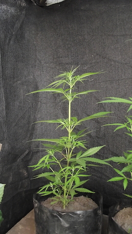 DSCF5509.JPG
