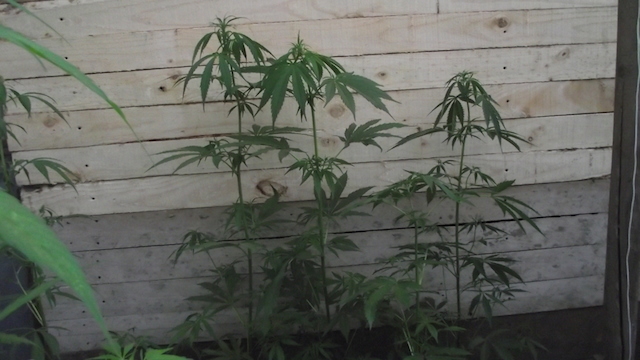 DSCF5658.JPG