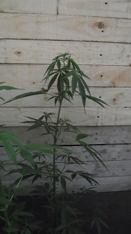 DSCF5659.JPG
