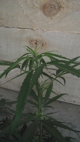 DSCF5673.JPG