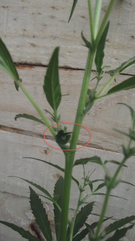 DSCF5678.JPG