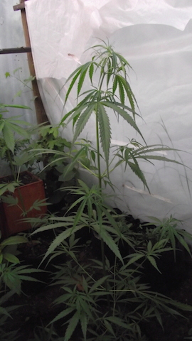 DSCF5700.JPG