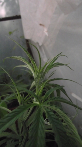 DSCF5702.JPG