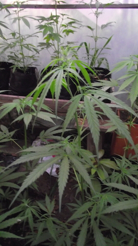 DSCF5707.JPG