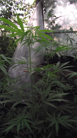 DSCF5716.JPG