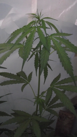 DSCF5726.JPG
