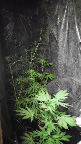 DSCF5685.JPG