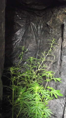 DSCF5690.JPG