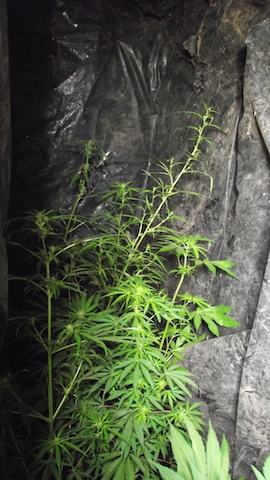 DSCF5689.JPG
