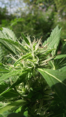 DSCF5765.JPG