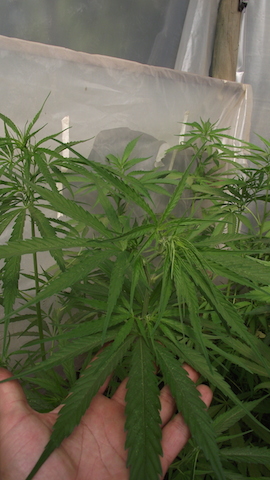 DSCF5801.JPG