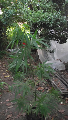DSCF5863.JPG